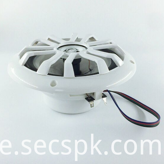 4 Ohm LED Multicolor Koaxial Lautsprecher 4 Ohm Led Multicolor Coaxial Speaker